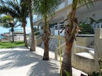 Penthouse Coconut * Cozumel