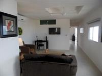 Penthouse Coconut