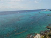 Penthouse Coconut Cozumel